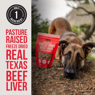 The Only Freeze Dried Beef Liver Dogs Need Dapper Natural Rapport