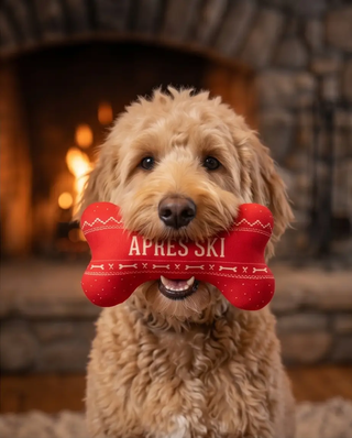 Apres Ski Fairisle bone-shaped dog toy, red knit with white pattern, squeaker.