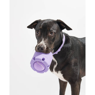 Tennis Tumble Interactive Dog Toy Wild One