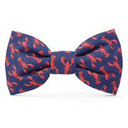 Catch of the Day Summer Dog Bow Tie The Foggy Dog Standard