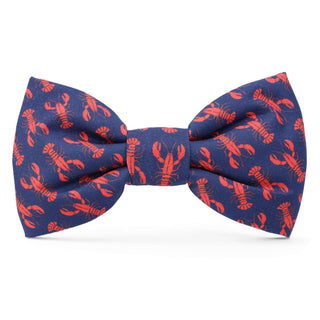 Catch of the Day Summer Dog Bow Tie The Foggy Dog Standard