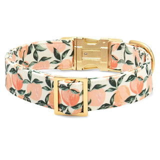 Peaches and Cream dog collar in floral peach pattern with gold-tone hardware.