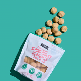 Dapper Spring Chicky Meatballs dog treats by Natural Rapport in a white bag on teal background