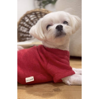 MINI PUMPKIN Pet Graphic Sweatshirt Dapper OAT COLLECTIVE