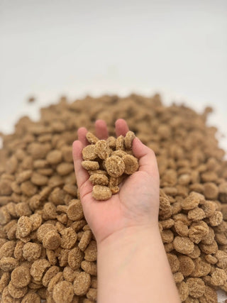 Peanut Butter & Honey Soft & Chewy Dog Treats in hand; brown pellet-shaped bites