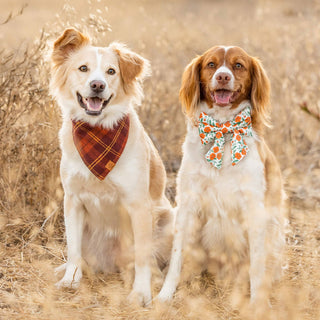 Cider Plaid Flannel Fall Dog Bandana The Foggy Dog