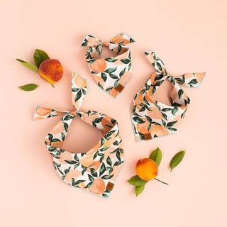 Peaches and Cream Dog Bandana The Foggy Dog