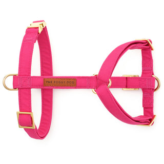 Hot pink dog harness with gold-tone hardware and adjustable straps