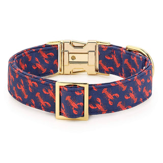Catch of the Day Summer Dog Collar The Foggy Dog