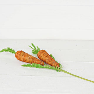 Raffia Wrapped Carrots Spray Impressive Enterprises, Inc.