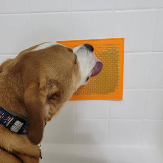 Square silicone lick pad for dogs in bright orange; durable square design.