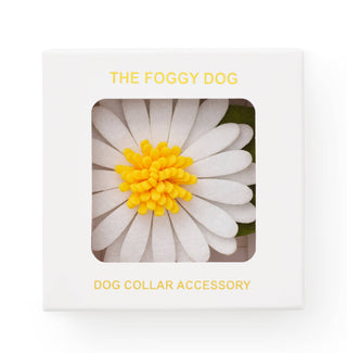 Daisy Dog Collar Flower Dapper The Foggy Dog