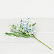 Bush Blue Cream Mountain Flowers Impressive Enterprises, Inc.
