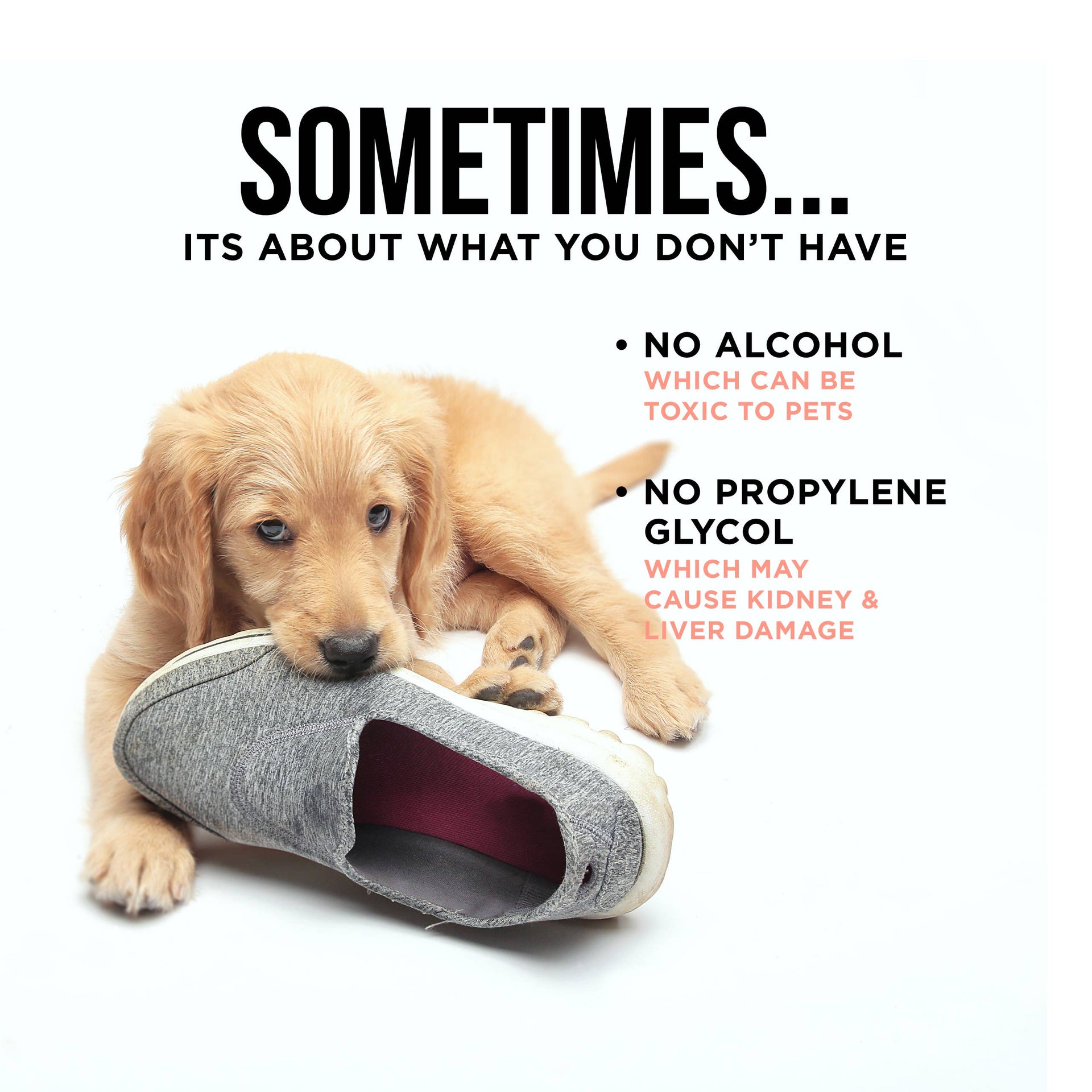 The Only Bitter Anti Chew Spray Dogs May Need Natural Rapport