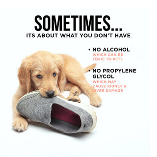 The Only Bitter Anti Chew Spray Dogs May Need Natural Rapport