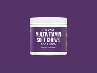 The Only Multivitamin Soft Chews Dogs Need Natural Rapport 120 count jar