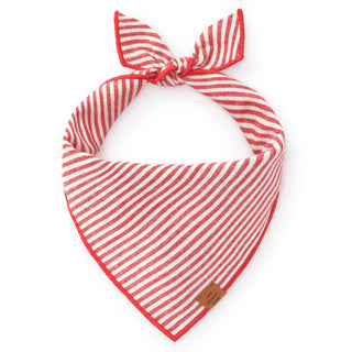 Red Stripe Dog Bandana The Foggy Dog