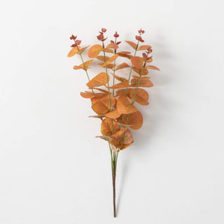 Eucalyptus Pick Sullivans Home Decor