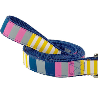 Sunshine Stripe - Dog Leash Dog & Me
