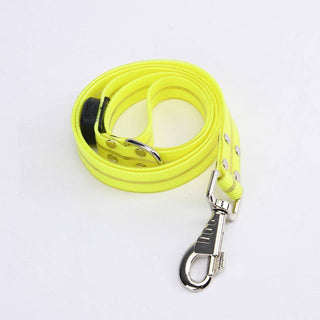 LED dog leash neon yellow with metal clasp and D-ring