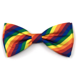 Two rainbow-striped bow ties with diagonal multicolor bands in red, orange, yellow, green, blue and purple