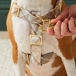 Andover Plaid Flannel Harness The Foggy Dog