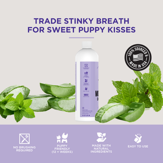 The Only Doggy Mouthwash Dogs Need Natural Rapport