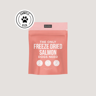 The Only Freeze Dried Salmon Dogs Need Natural Rapport Sample Size - Approx. 1 ounce