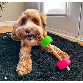 Classic Small dog toy with wooden rod and bright green and pink wheels