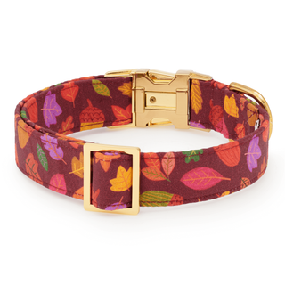 Nuts about You Dog Collar The Foggy Dog