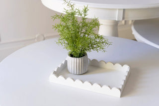 Wood scallop tray, white, 13x9x2, with a small potted plant