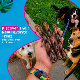 6-inch braided collagen dog treat sticks, grass-fed beef flavor; brown braided texture
