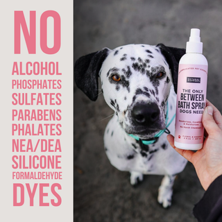 Between Bath Spray for Dogs in Floral & Coconut scent; pink bottle held beside a Dalmatian.
