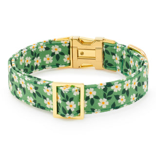 Dainty Daisies Dog Collar Dapper The Foggy Dog