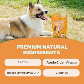 Omega-3 fish oil dog chews in orange packaging for skin & coat