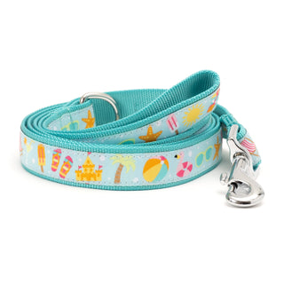 Life's a Beach Lead by The Worthy Dog, mint green nylon dog leash with beach-print pattern