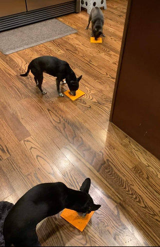 Sm. & Lg. Lick Mat w/ Suction Cup Poochie Butter