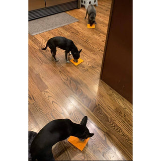 Square silicone lick pad for dogs, orange, on hardwood floor; two pads visible.