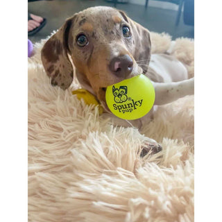 Fetch and Glow Ball dog toy in neon lime with visible logo.