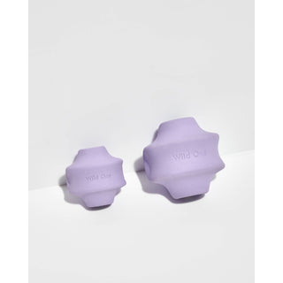 Twist Toss Treat Dispensing Dog Toy Wild One