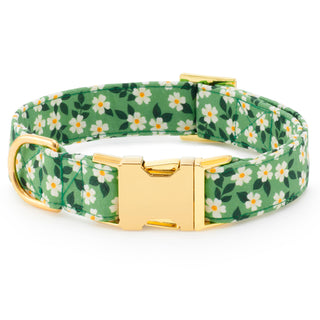 Dainty Daisies Dog Collar Dapper The Foggy Dog