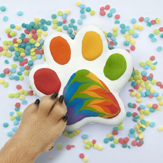 Pride Paw