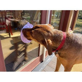 Lotus eMat Enrichment Lick Mat with Suction Cups, purple dog licking mat