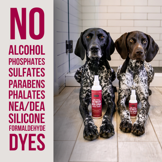 The Only Between Bath Spray for dogs, cranberry & vanilla, two bottles shown with two spotted dogs