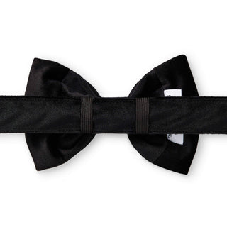 Black Velvet Dog Bow Tie The Foggy Dog