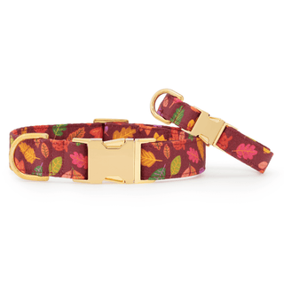 Nuts about You Dog Collar The Foggy Dog