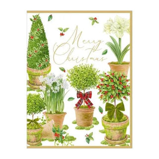 Boxed holiday cards: Winter Topiaries with potted greenery and gold trim.