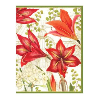 Amaryllis and Conserva boxed holiday cards: red amaryllis blooms with greenery on cream backdrop, green border.