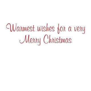Boxed holiday card featuring red cursive greeting Warmest wishes for a very Merry Christmas on white background