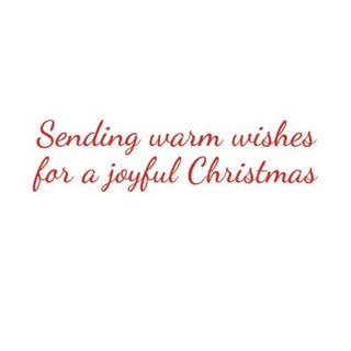 Boxed holiday cards with red cursive text reading Sending warm wishes for a joyful Christmas